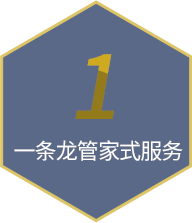 澳星出國(guó)提供1條龍管家式服務(wù)